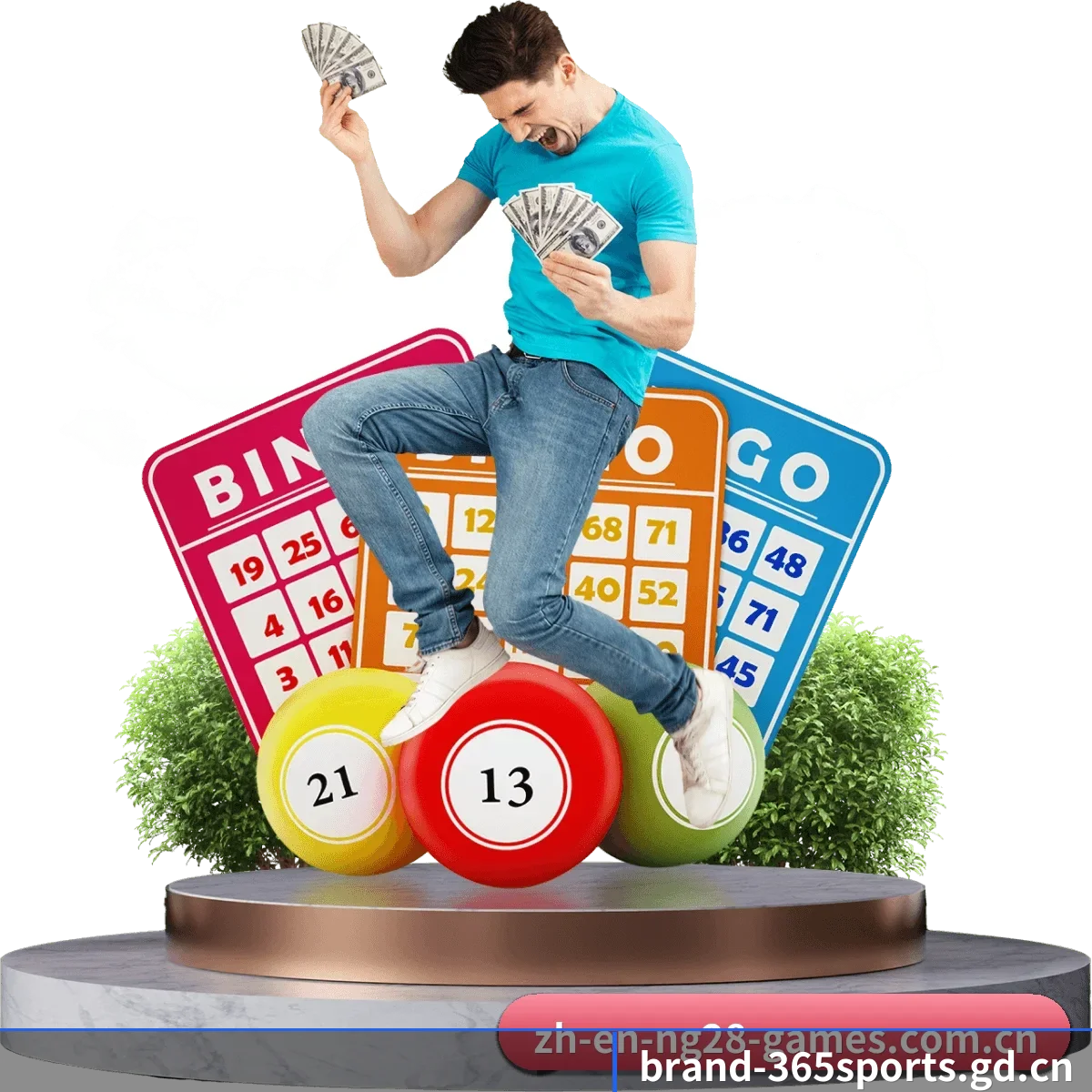 365体育官网 APP(365sports)